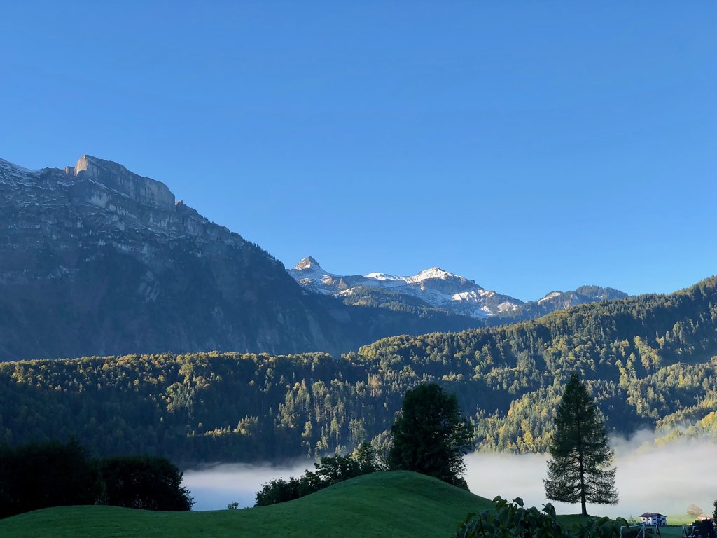 Morgennebel