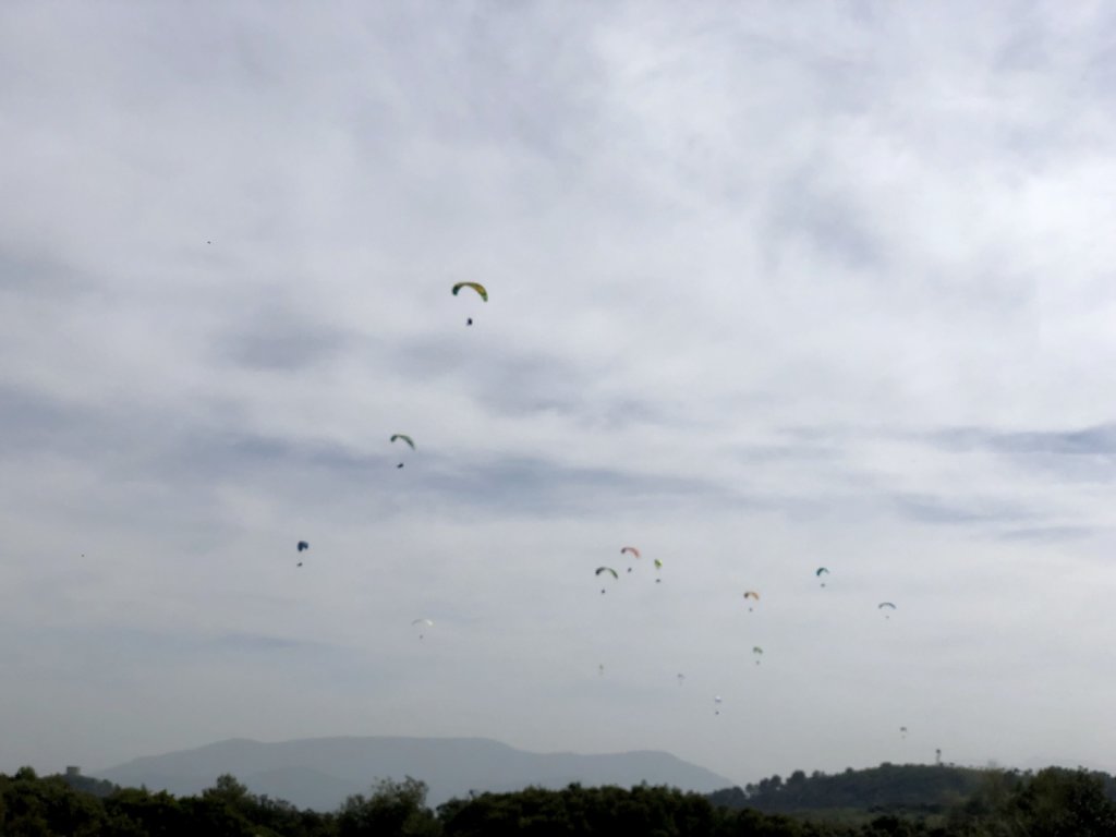 5F390E5C-354B-4921-8E1E-8C0A569A6440.jpeg